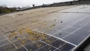 czyszczenie paneli solarnych cena